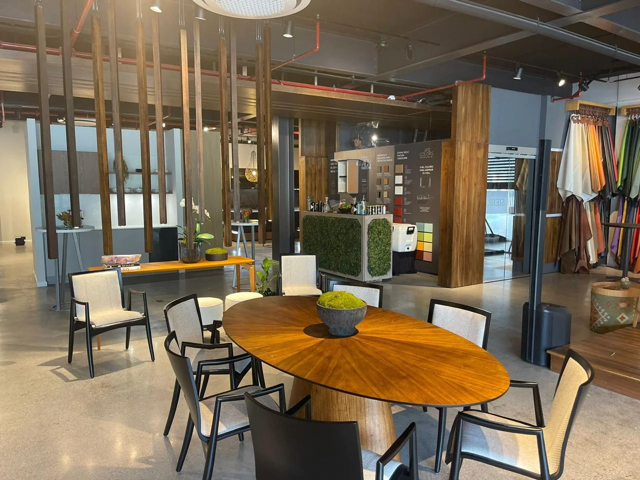 Tienda Sierra y Todeschini - Imagen 14