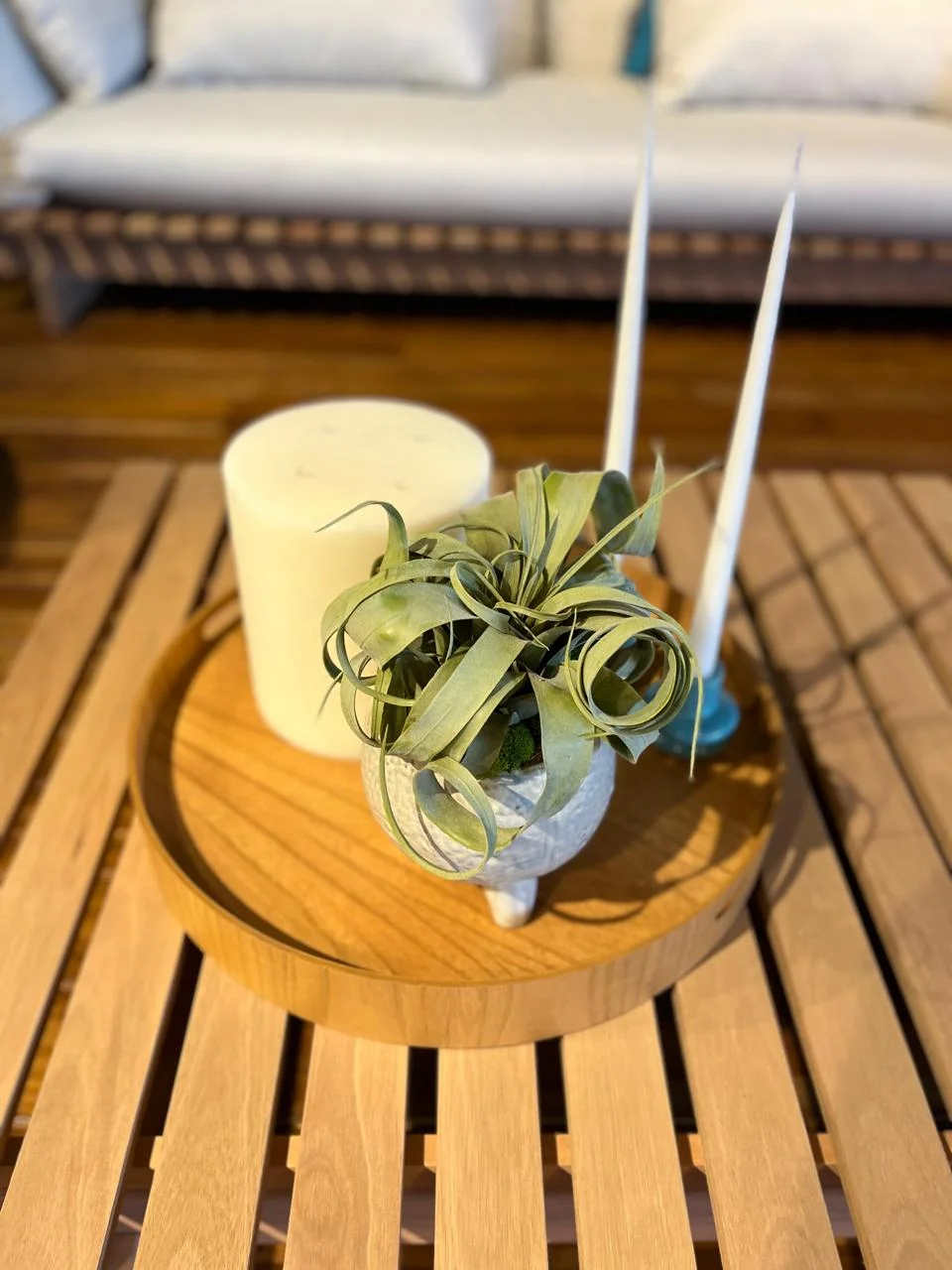 Tienda Sierra y Todeschini - Imagen 15