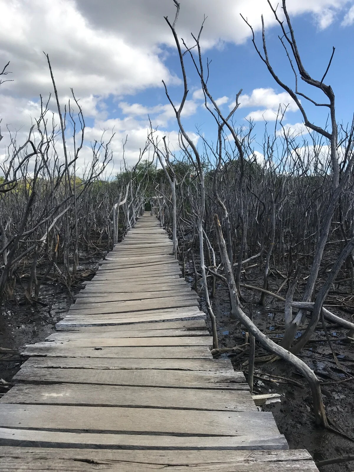 Villa Mantas New Pinilla - Imagen 6