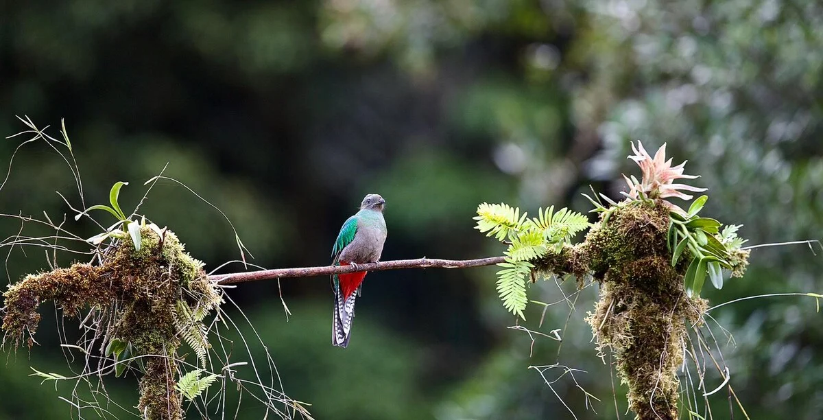 Villa Mantas New Pinilla - Imagen 25