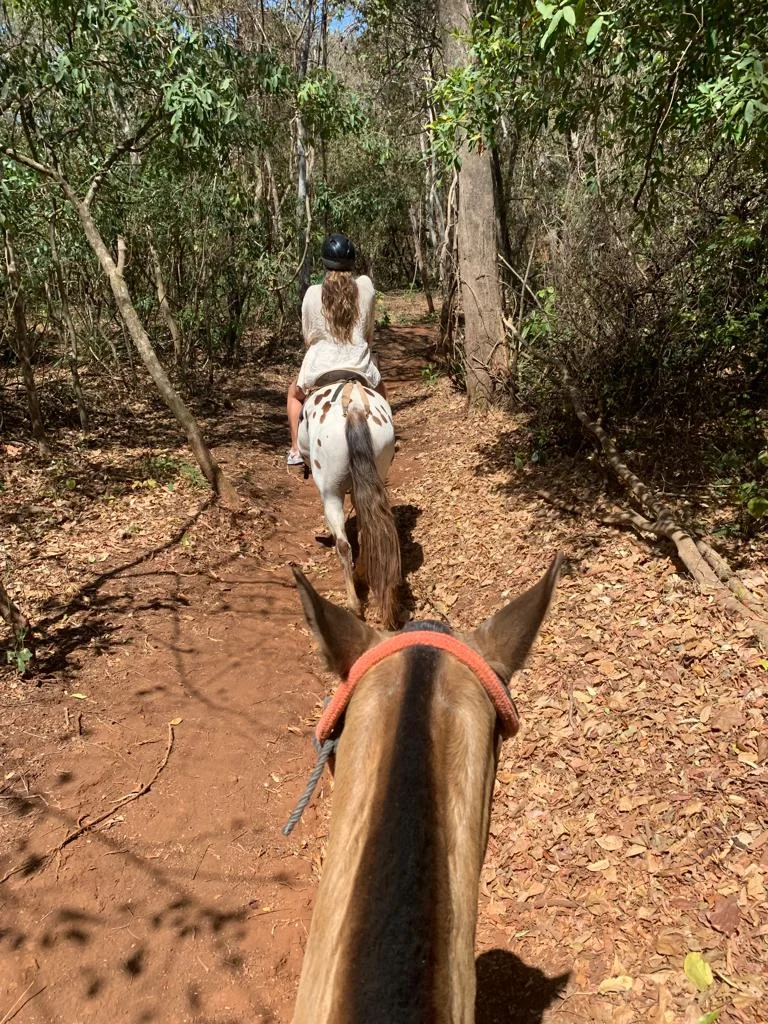 Villa Mantas New Pinilla - Imagen 37