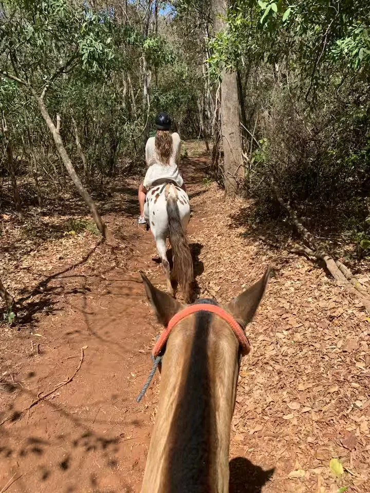 Villa Mantas New Pinilla - Imagen 38