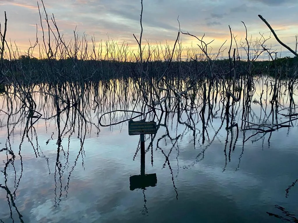 Villa Mantas New Pinilla - Imagen 47